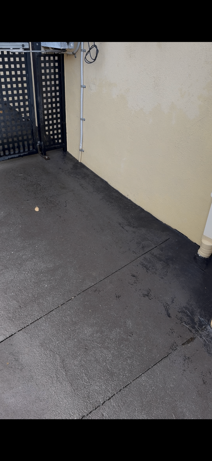 After — restored exposed-aggregate driveway