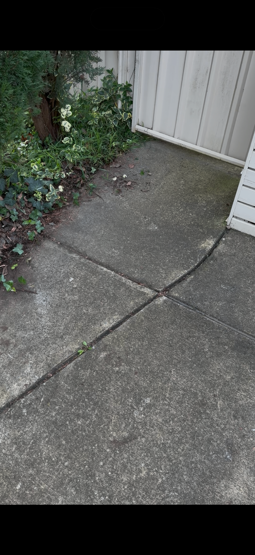 Before — Side path & concrete restoration — Canberra